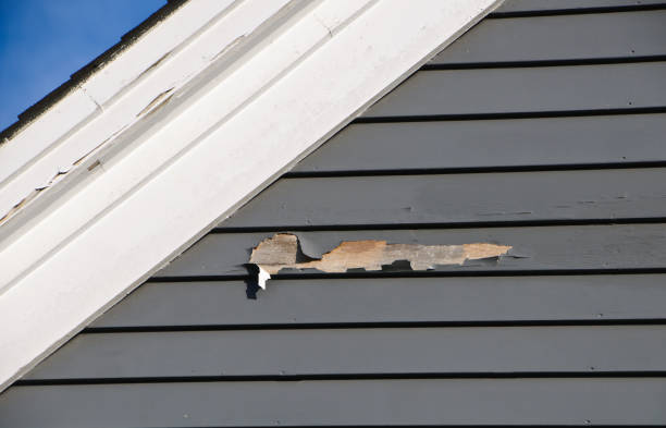 Best Custom Trim and Detailing for Siding  in Hoxie, KS